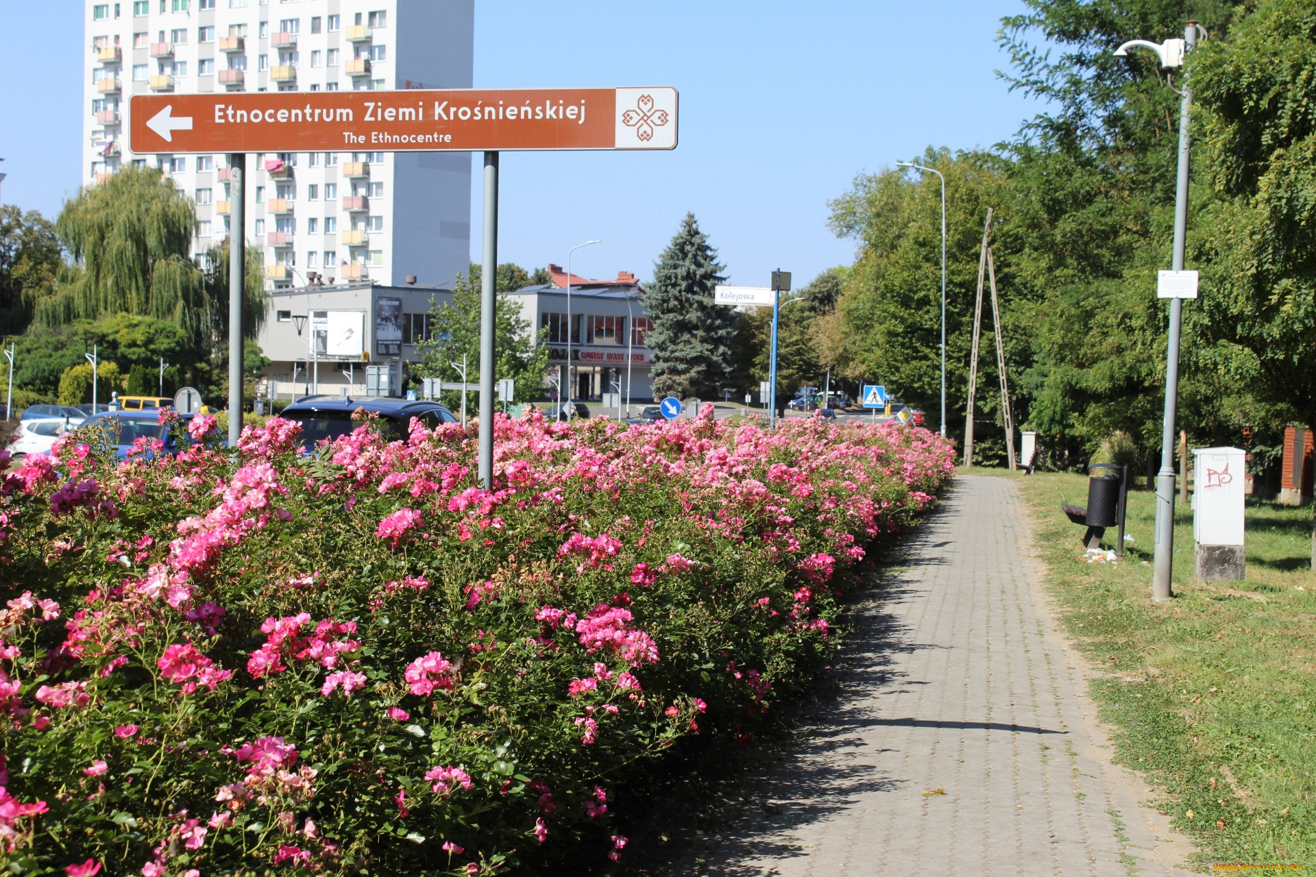 krosno, podkarpackie voivodeship, poland, , - ,  ,  , podkarpackie, voivodeship